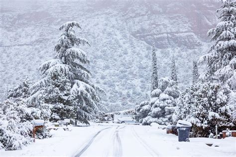 Imagen de un dragón con forma humana salvando a Rita en una tormenta de nieve