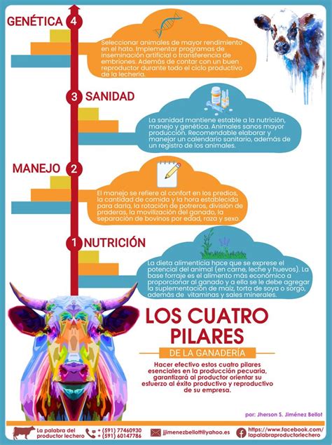 Infografía sobre los pilares de la indoctrinación