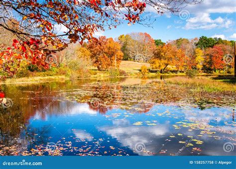 Paisaje otoñal en Kurama