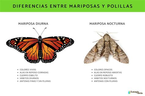 Comparación visual de escenas diurnas y nocturnas en el cómic