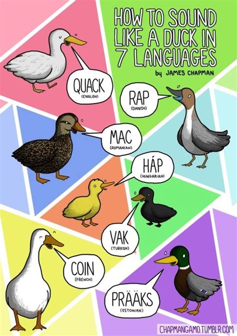 Comparativa de onomatopeyas de lucha en diferentes idiomas