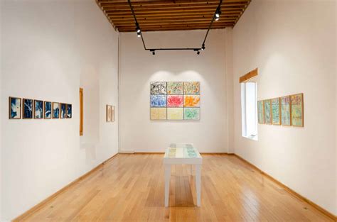 Colección de arte contemporáneo en el Museo Kiran Nadar