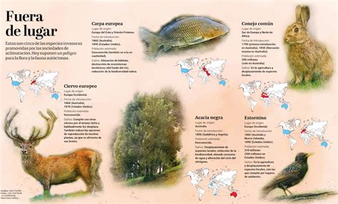 Mapa de distribución de especies invasoras en Europa