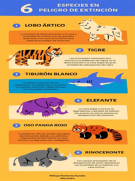 Infografía sobre especies en peligro de extinción en el mundo