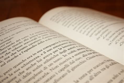 Página de un libro con texto en chino y su traducción