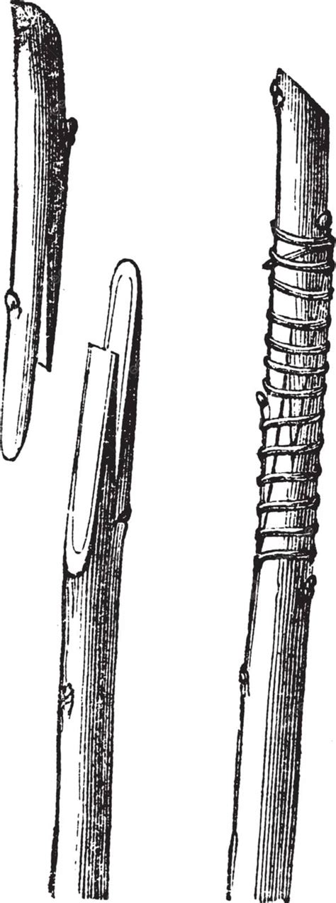 Injerto en cómic antiguo
