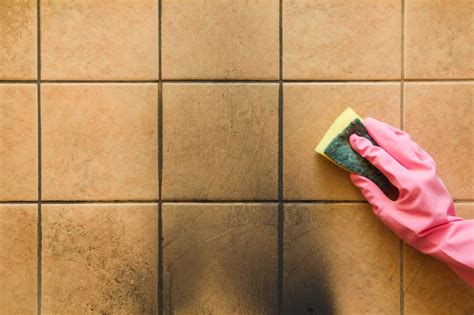 juntas de azulejos con moho siendo limpiadas