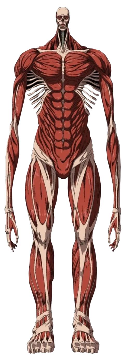 Armin como Titán Colosal