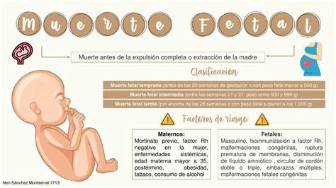 Mapa de incidencia de muerte fetal por regiones (datos hipotéticos)