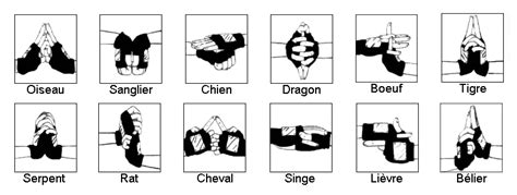 Ilustración de diversos ninjutsu de Naruto