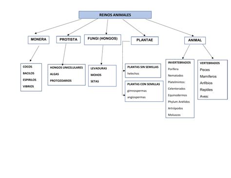 Mapa conceptual de los reinos y facciones en el mundo de Tensei Kizoku no Isekai Boukenroku
