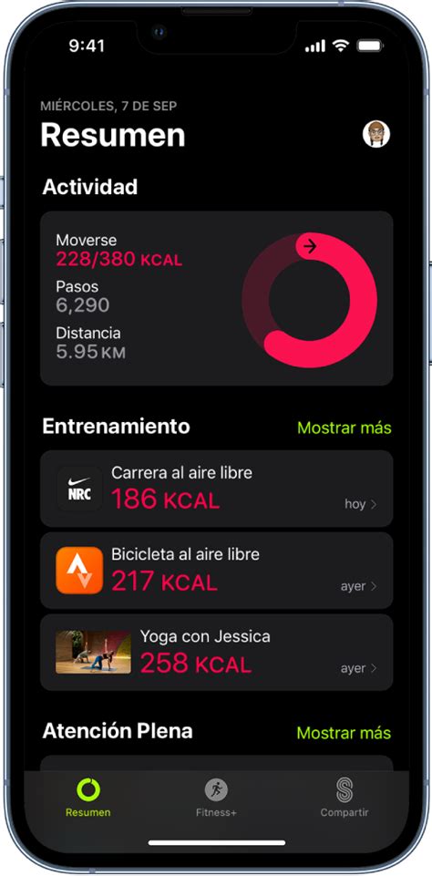 Captura de pantalla de una aplicación de seguimiento de progreso en artes marciales