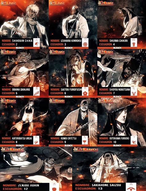 Mapa conceptual de los escuadrones del Gotei 13