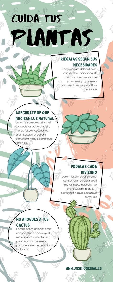 Infografía sobre el cuidado de las lentillas de contacto