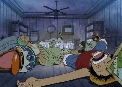 Luffy y su tripulación en el Sunny