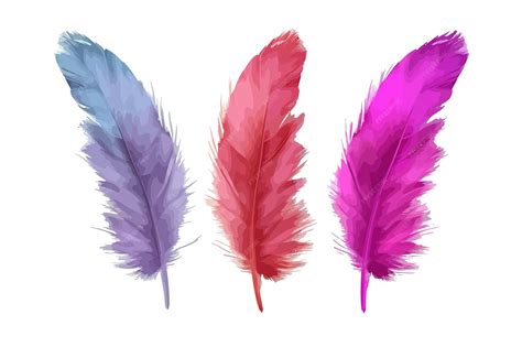 Ilustración de plumaje digital en manga