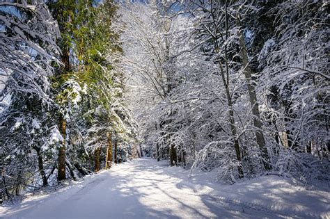 Paisaje invernal de la Tierra de la Nieve