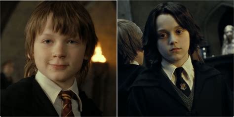 Severus Snape y James Potter como pareja