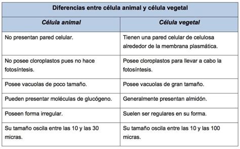 Tabla comparativa de elementos comunes en historias 