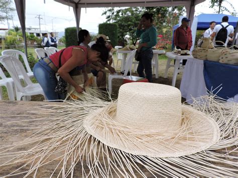 Monos con sombreros de paja celebrando