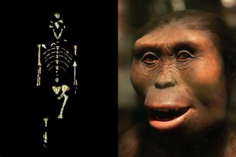 Lucy y sus Espíritus Celestiales