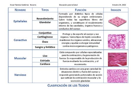 Tabla de tejidos para calzoncillos