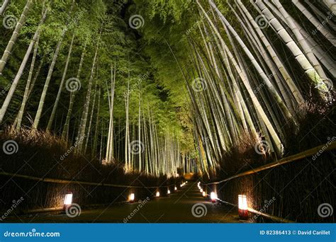 Bosque de bambú de Shuzenji iluminado de noche