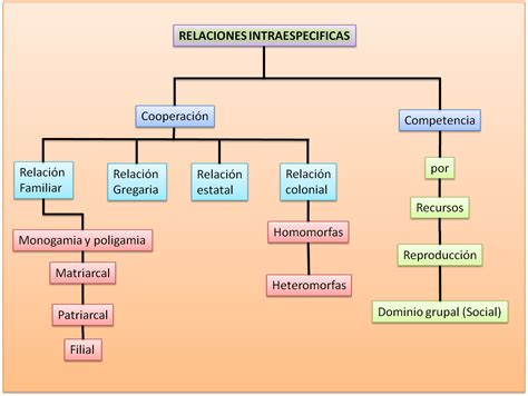 Esquema de las relaciones entre Natsuo, Hina y Rui.