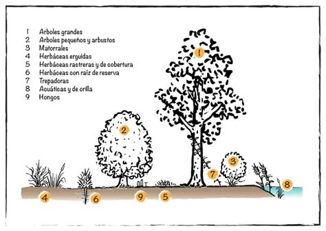 Representación del Bosque de Menos con estructuras de cuarzo