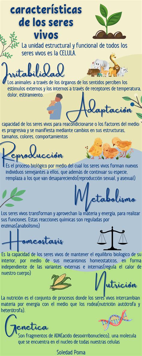 Infografía sobre las características comunes de los Ukes en el Yaoi