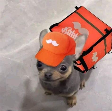 Diane con su vestimenta naranja y mochila