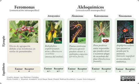 Representación visual de las feromonas en el universo del manhwa