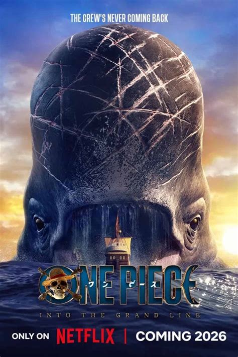 Personajes de One Piece en acción