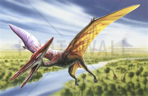 Un pterodáctilo volando con Bulma
