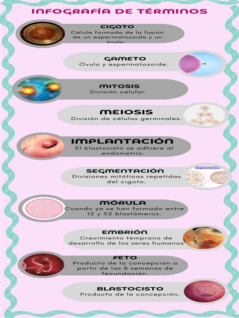 infografía con la terminología del Yaoi