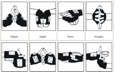 Diagrama mostrando los pasos para realizar el Kuchiyose no Jutsu: sellos de mano, sangre, pergamino y aparición de la invocación.