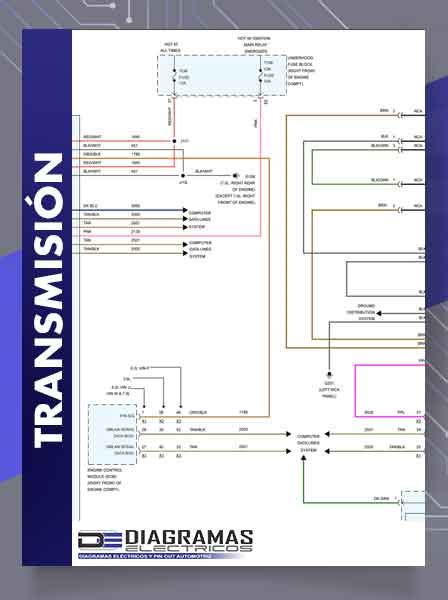 Diagrama del sistema Alfa-Beta-Omega en fanfics.