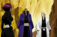 Yoruichi y Kūkaku Shiba