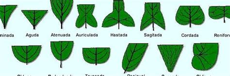 Esquema de las diferentes Hojas de Nichirin y sus efectos