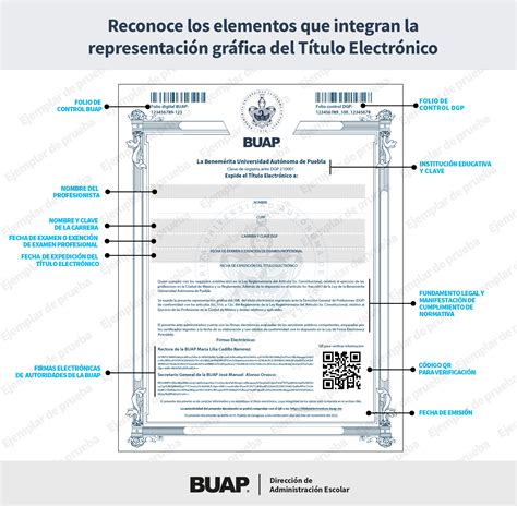 Representación gráfica del título 