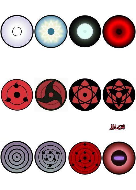 Representación visual de los diferentes ojos de 