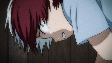 Shoto Todoroki mostrando su heterocromía y cabello bicolor