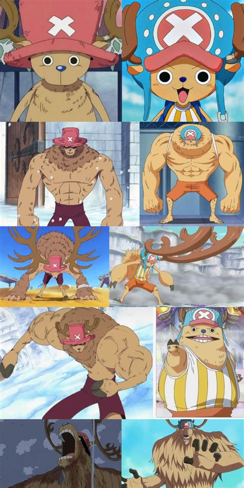 Ilustración de Tony Tony Chopper en sus diferentes formas