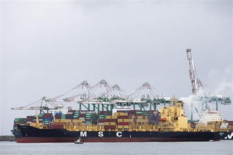 Caballos y cadetes en medio de la incertidumbre