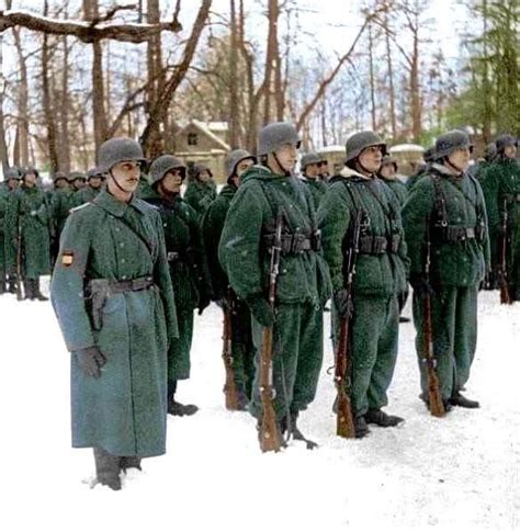 Soldados preparándose para la batalla en un bosque denso