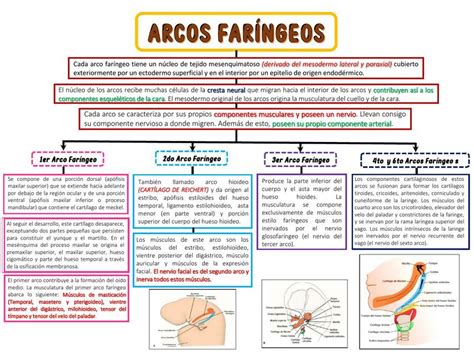 Mapa conceptual de los arcos argumentales de Naruto