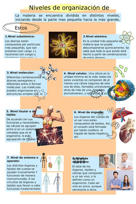 Infografía sobre los niveles de Trascendencia y sus efectos