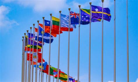 Bandera del Gobierno Mundial siendo quemada