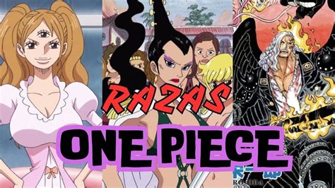 Esquema de las diferentes razas en One Piece