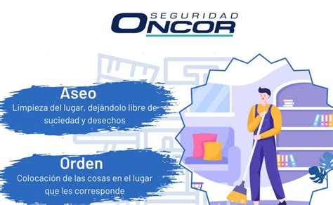 Infografía sobre la diferencia entre orden y caos